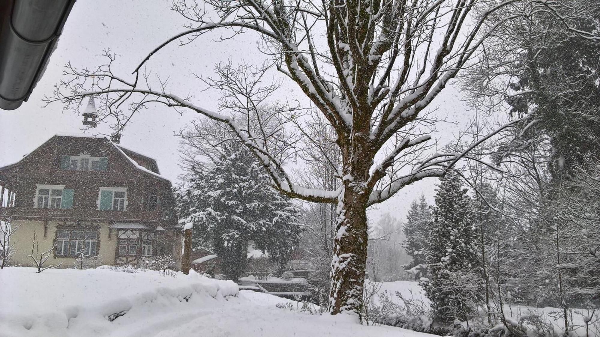 Wohnen Am See Villa Schroetter Direkt Am Traunsee Rindbach 外观 照片